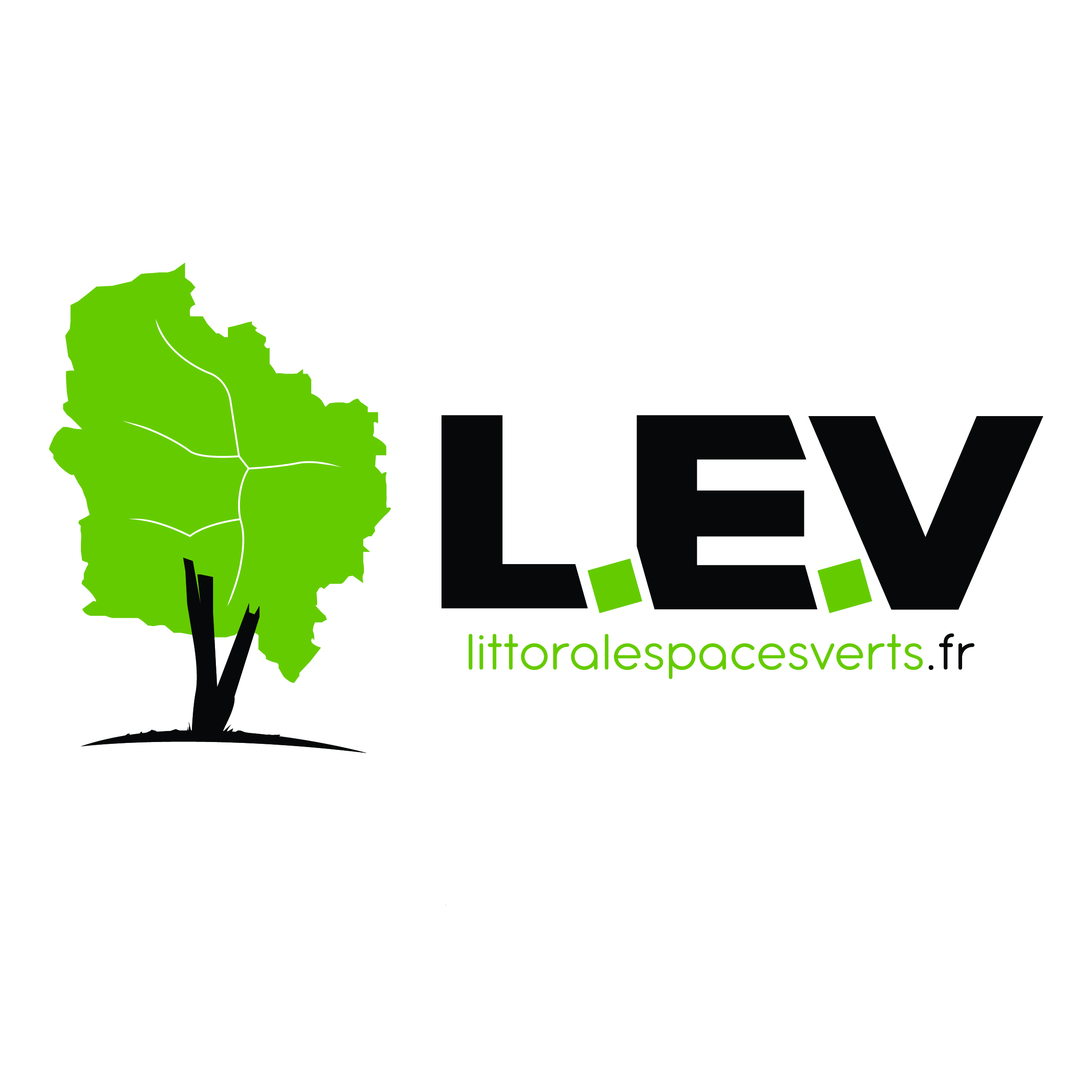 LEV